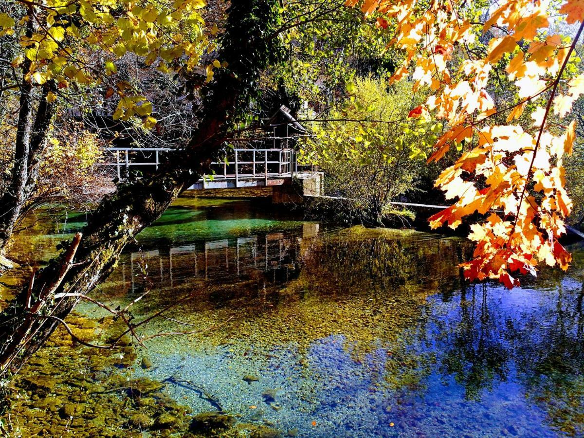 Сasa de vacaciones River House Hrib